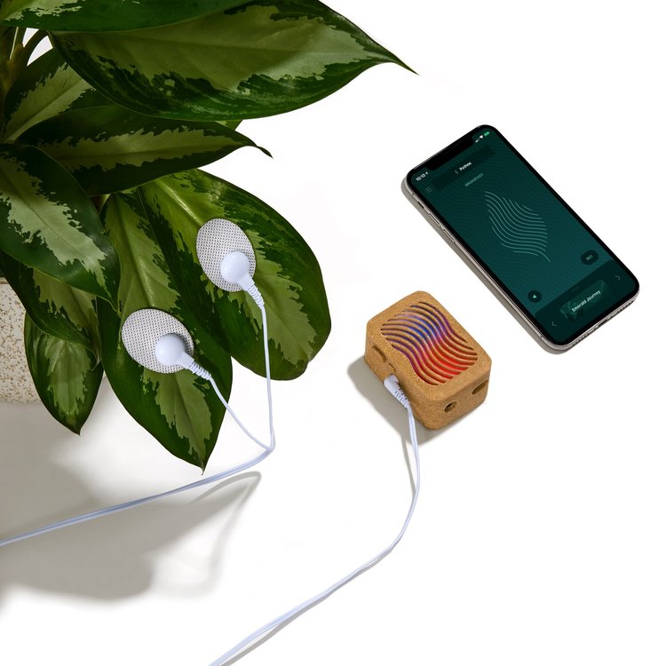 Buy the Original PlantWave Device | PlantWave