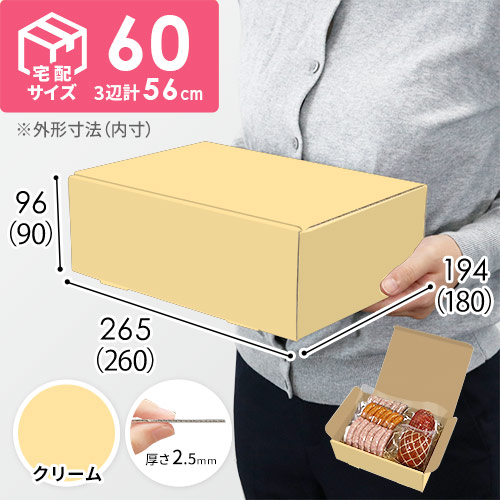 クリーム色】宅配60サイズ・N式ケース（260×180×90mm・はっ水加工なし