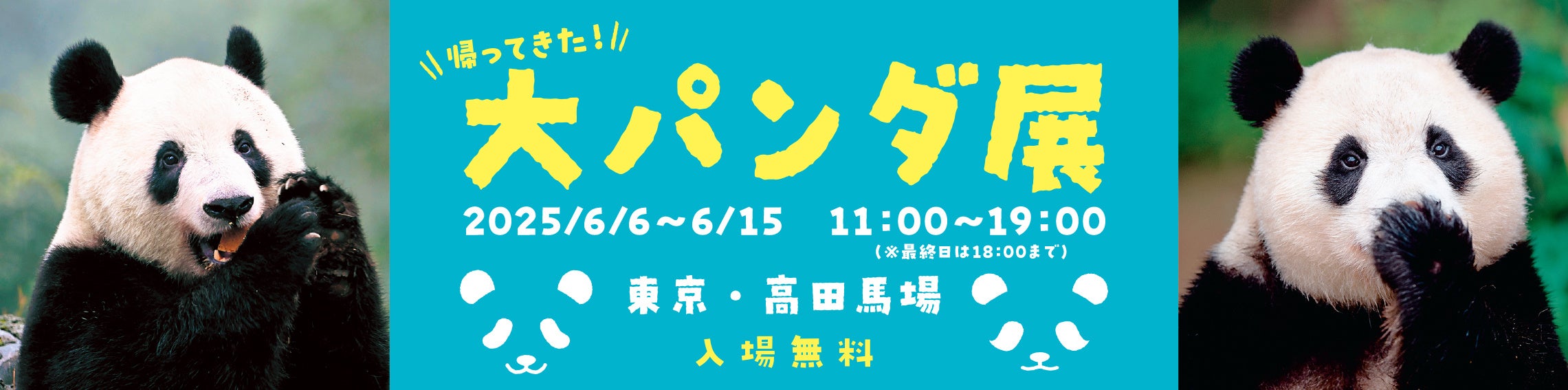 シャンシャン祝8歳！誕生日に話題の“あの大パンダ展”が帰ってきた