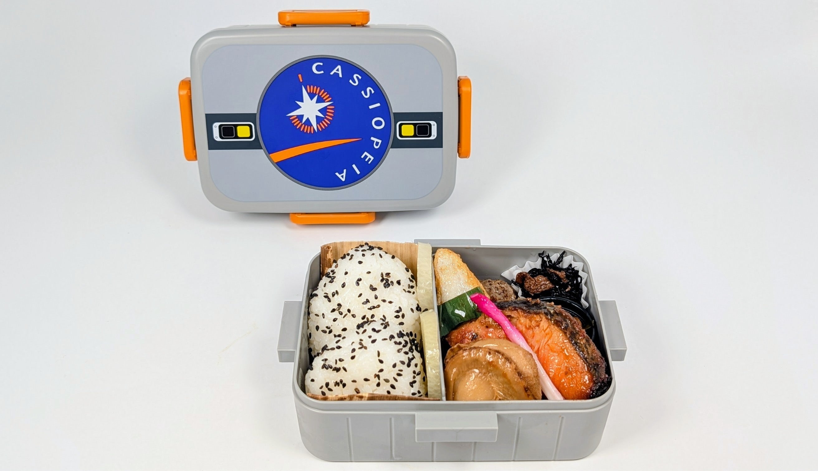 希少 駅弁 特急列車 ヘッドマーク弁当 第一弾～第十弾 弁当箱 希少