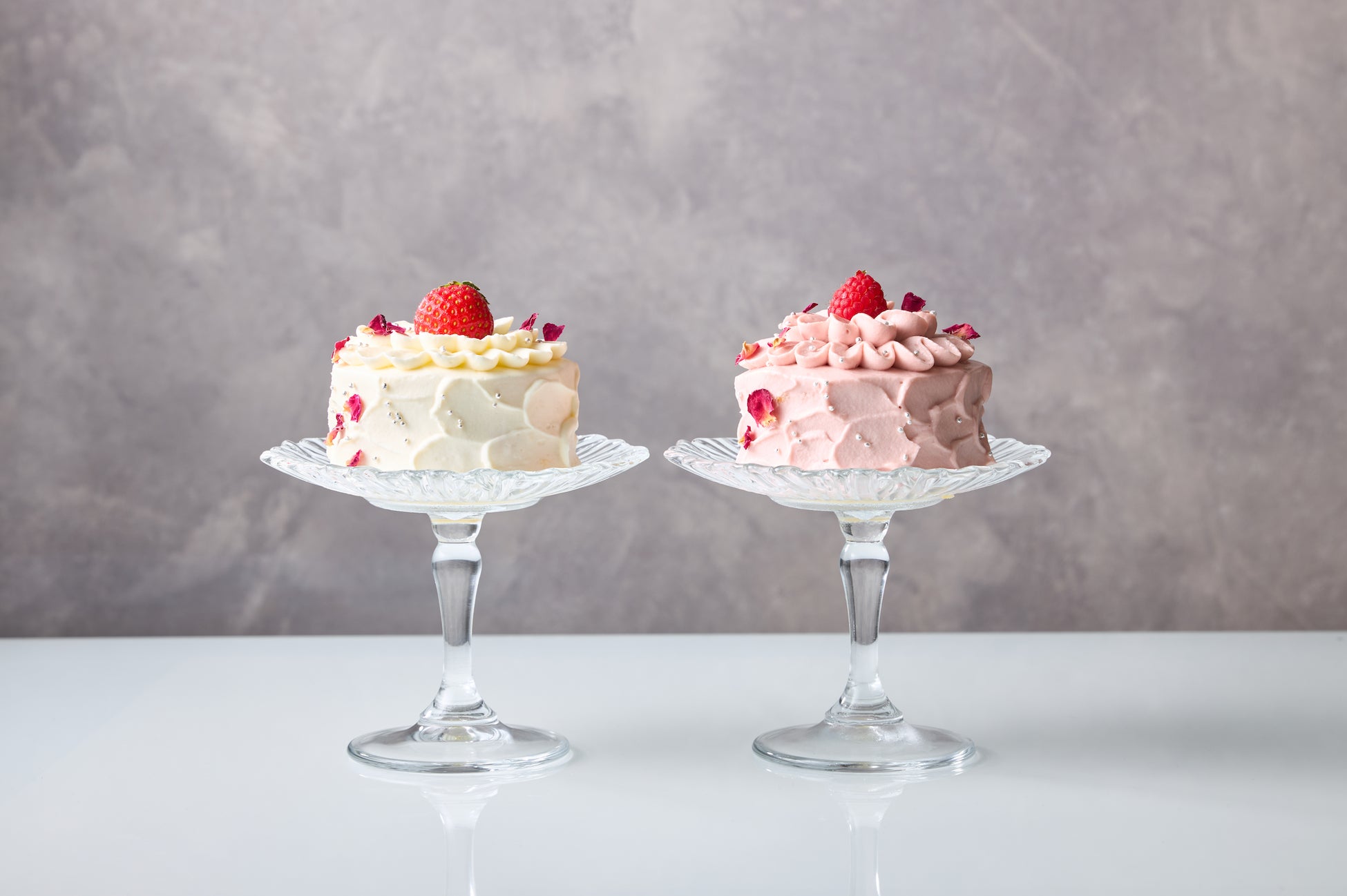 歌舞伎町発！おひとり様用ホールショートケーキ店【ShortCakeCompany