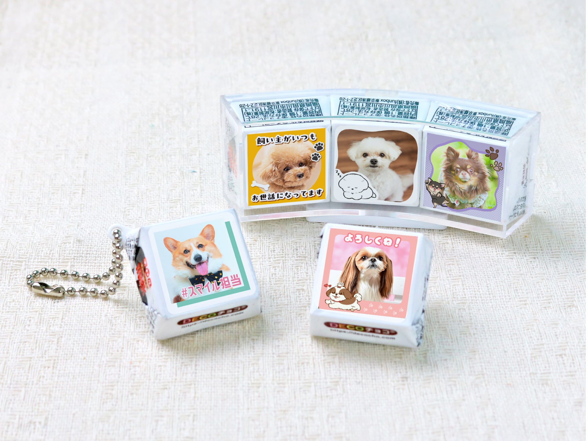 犬の日（11月1日）に向けて「DECOチョコ犬フェス」開催。動物愛護支援