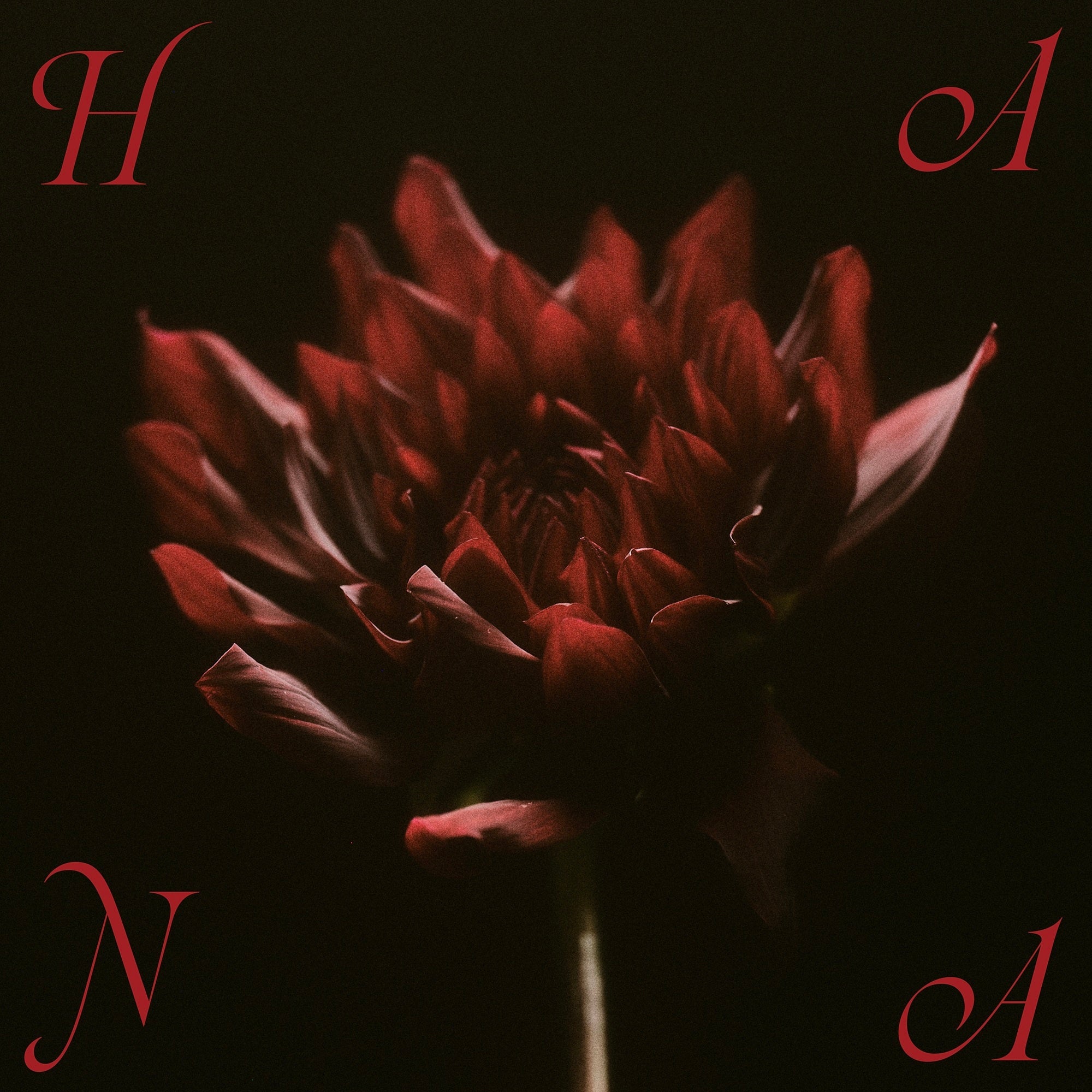 ついに咲く、HANAのすべて。1st Album『HANA』本日配信スタート！全員