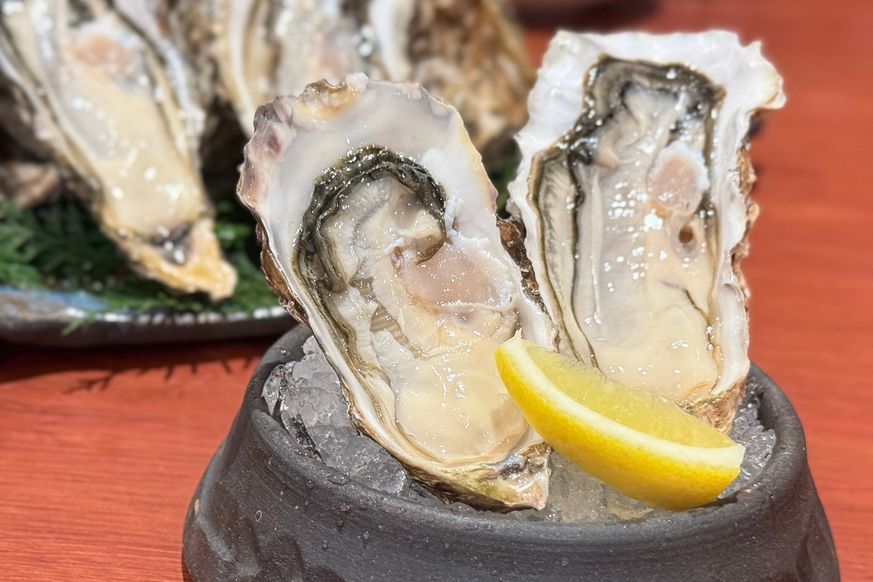 手のひらサイズの特大生牡蠣！北海道・厚岸直送『生牡蠣食べ比べセット