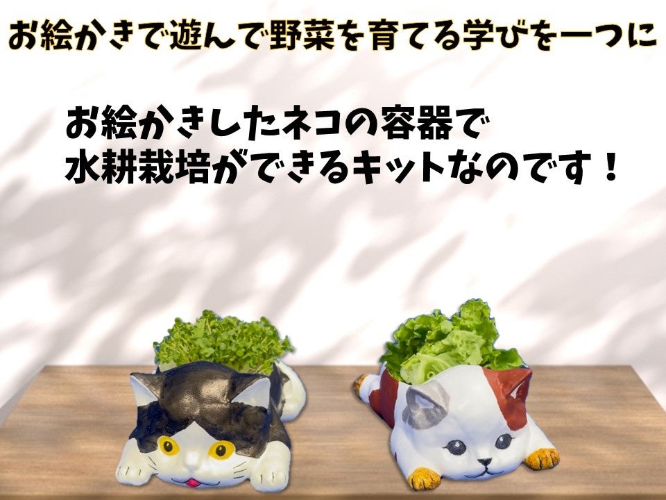新商品】おえかきにゃんこの水耕栽培キット♪立体ぬり絵でオリジナル