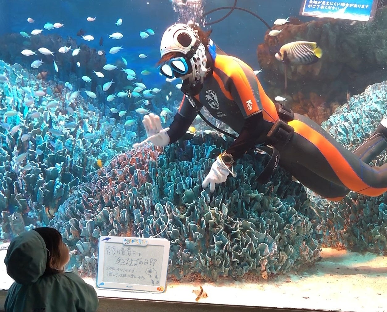 水族館&いきものを深堀り！発見がいっぱい！いきものディスカバリー