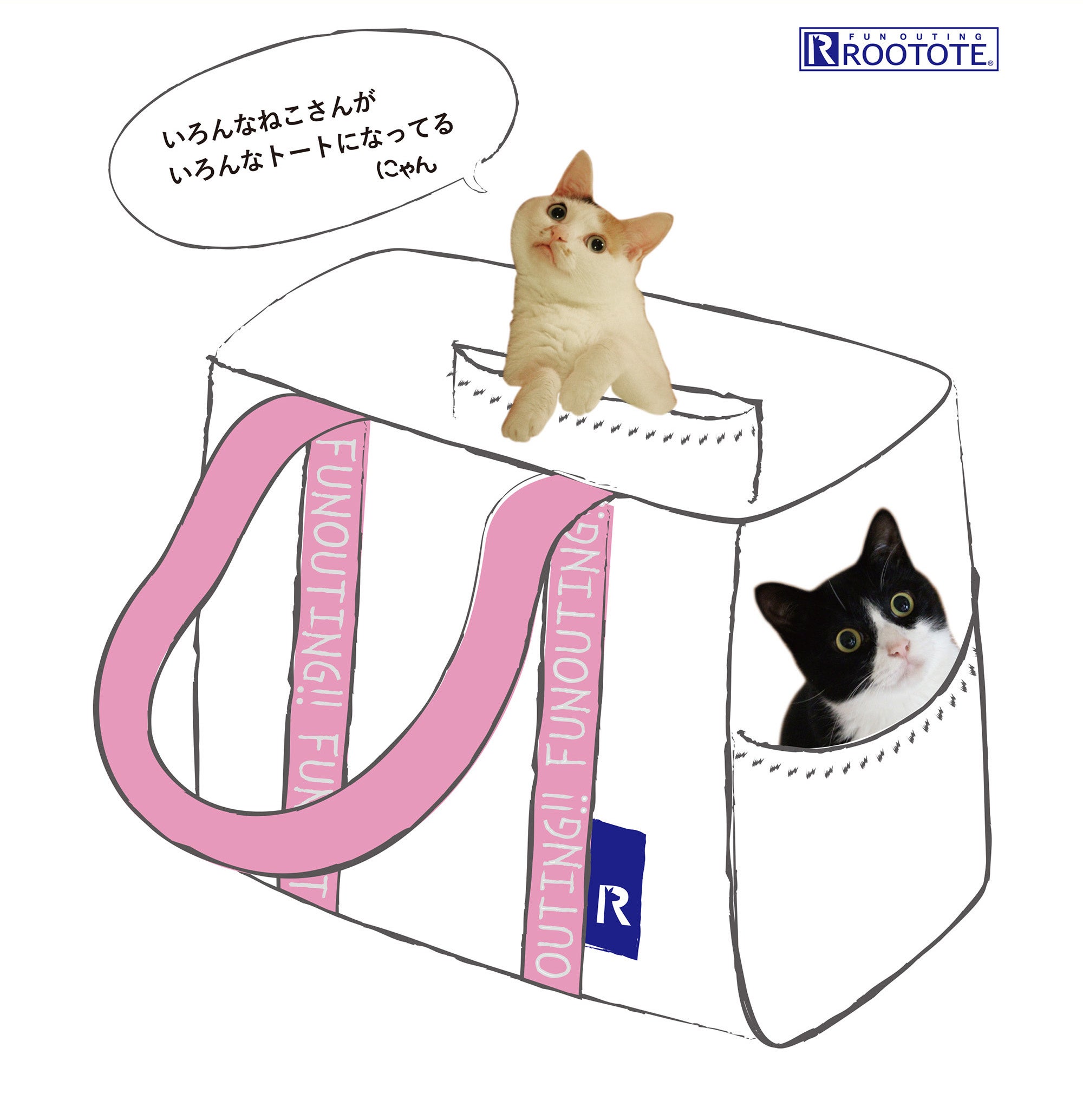 にゃん・にゃん・にゃん。2月22日はねこの日です】20種類以上のねこ