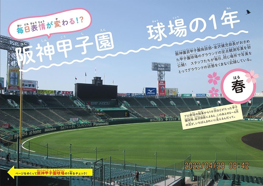 もうすぐ100周年！ 阪神甲子園球場の“神整備”を子ども向けに解説した