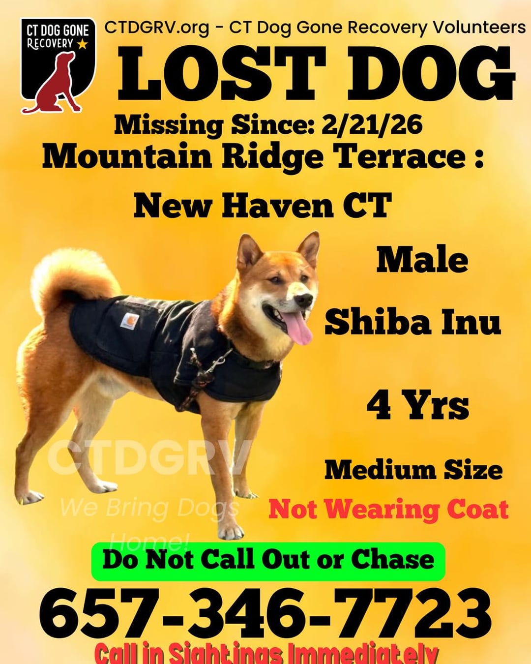 Thought I would help spread the word of this lost dog in the area