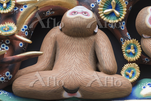 aflo_57649406.jpg