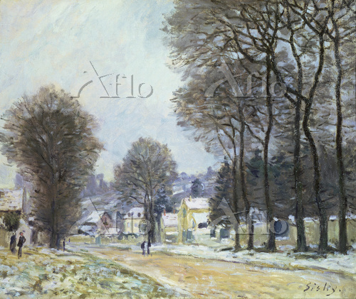 aflo_23384324.jpg