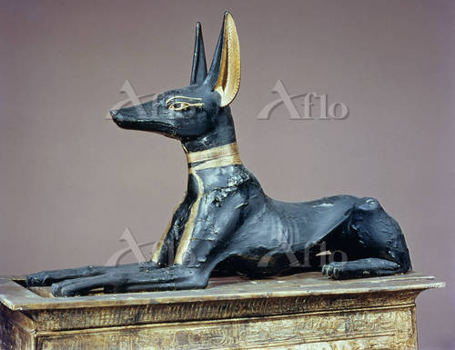 超美品】 アヌビス像 古代エジプト神 Las Vegas LUXOR で購入 美品