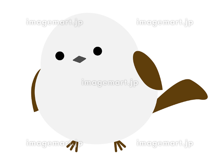 斜め横を向いているシマエナガのイラスト素材 [237546173]｜毎月1点
