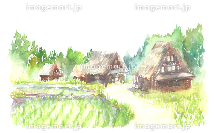 水彩で描いた茅葺屋根の家と田んぼのある田舎の風景のイラスト素材