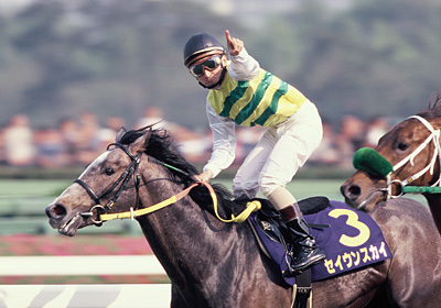 未来に語り継ぎたい名馬 JRAレーシングビュアー