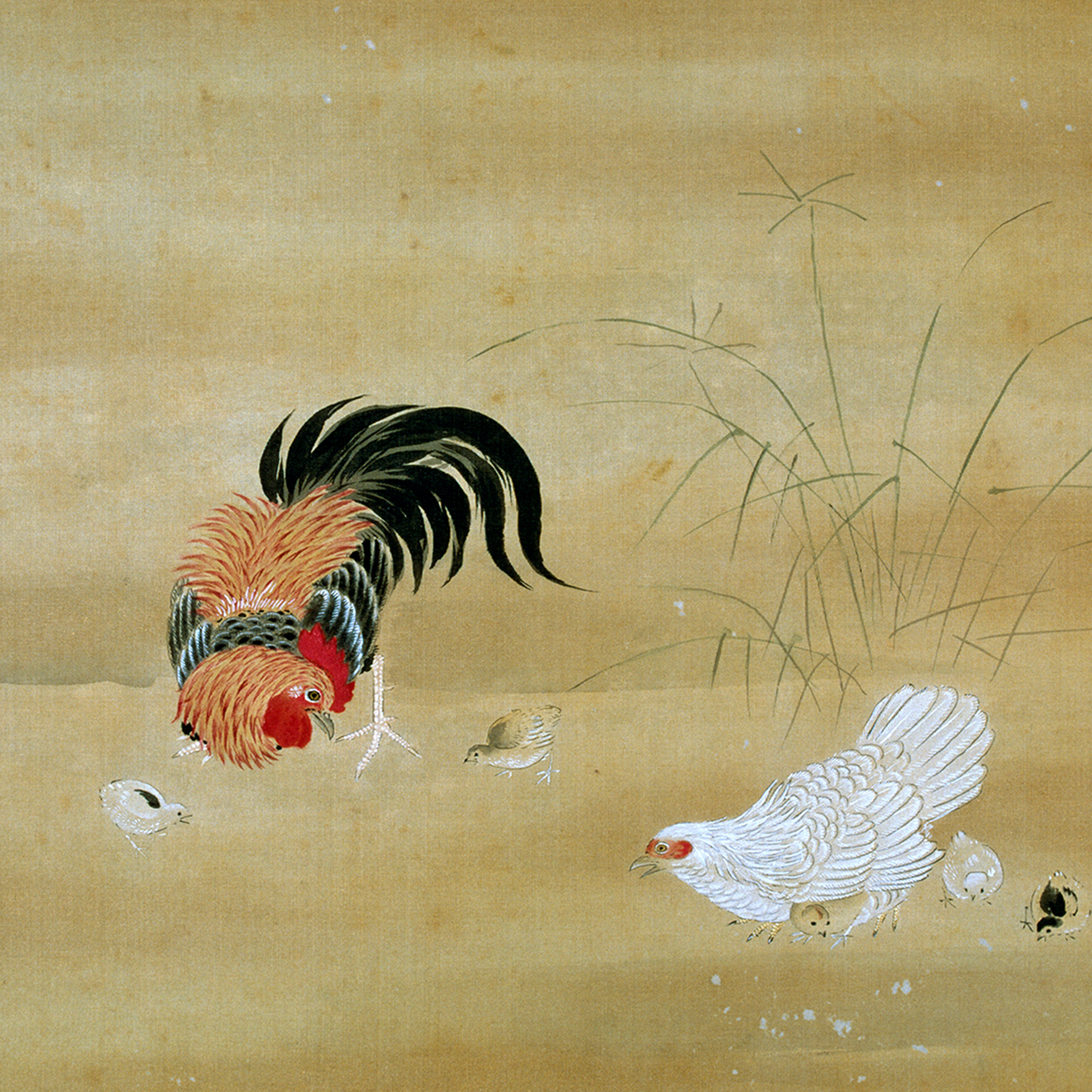 狩野深信「鶏図」485×385mm｜油絵・写真・賞状など額縁の通販｜株式