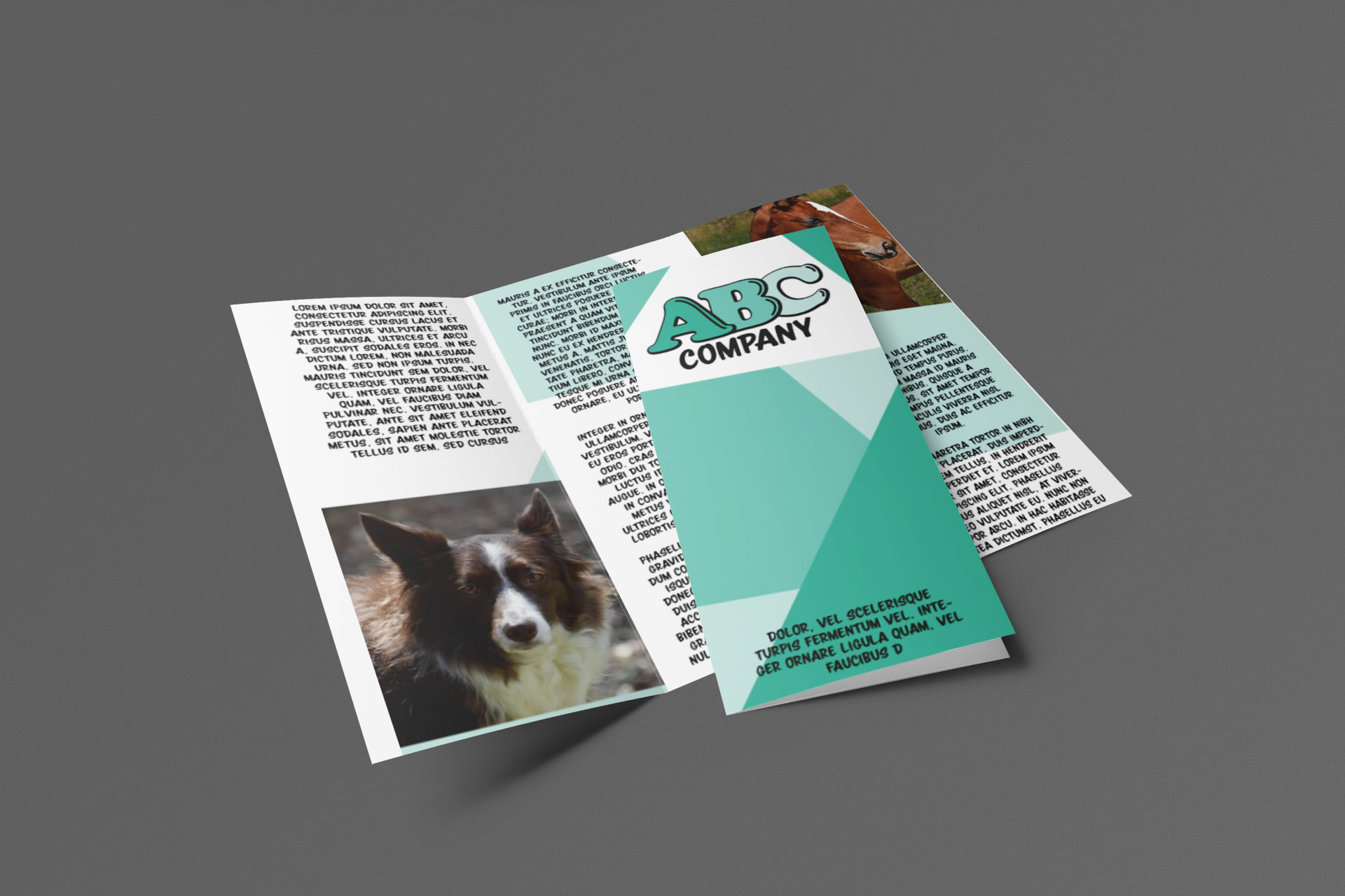 Brochure Printing Columbus, Ohio - Brochure Design Services | The