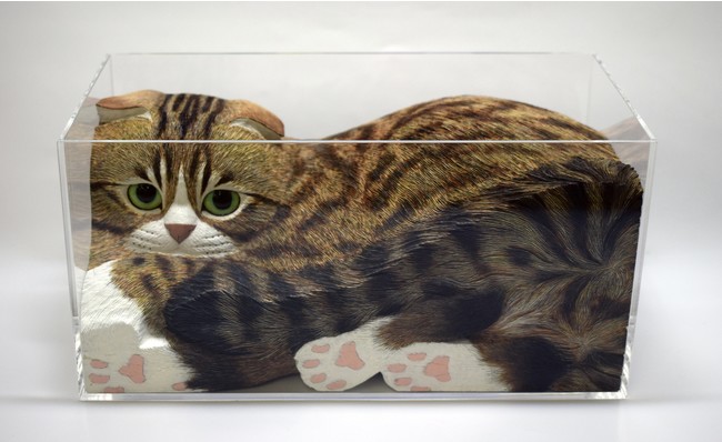 猫たちに癒されるアートの世界「～多くの作家に愛された～『猫・ネコ