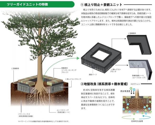 街路樹の高齢化』が起こす「根上がり」を未然に抑制、3重の根上がり