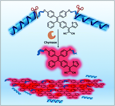 Fluorogenic probes for disease-relevant enzymes - Chemical Society
