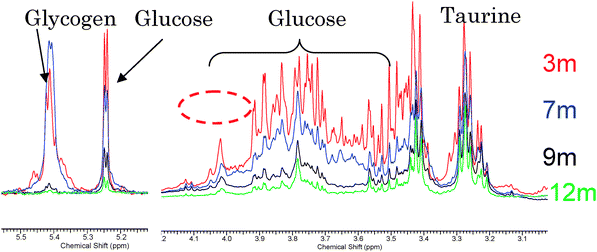 Systems level studies of mammalian metabolomes: the roles of mass