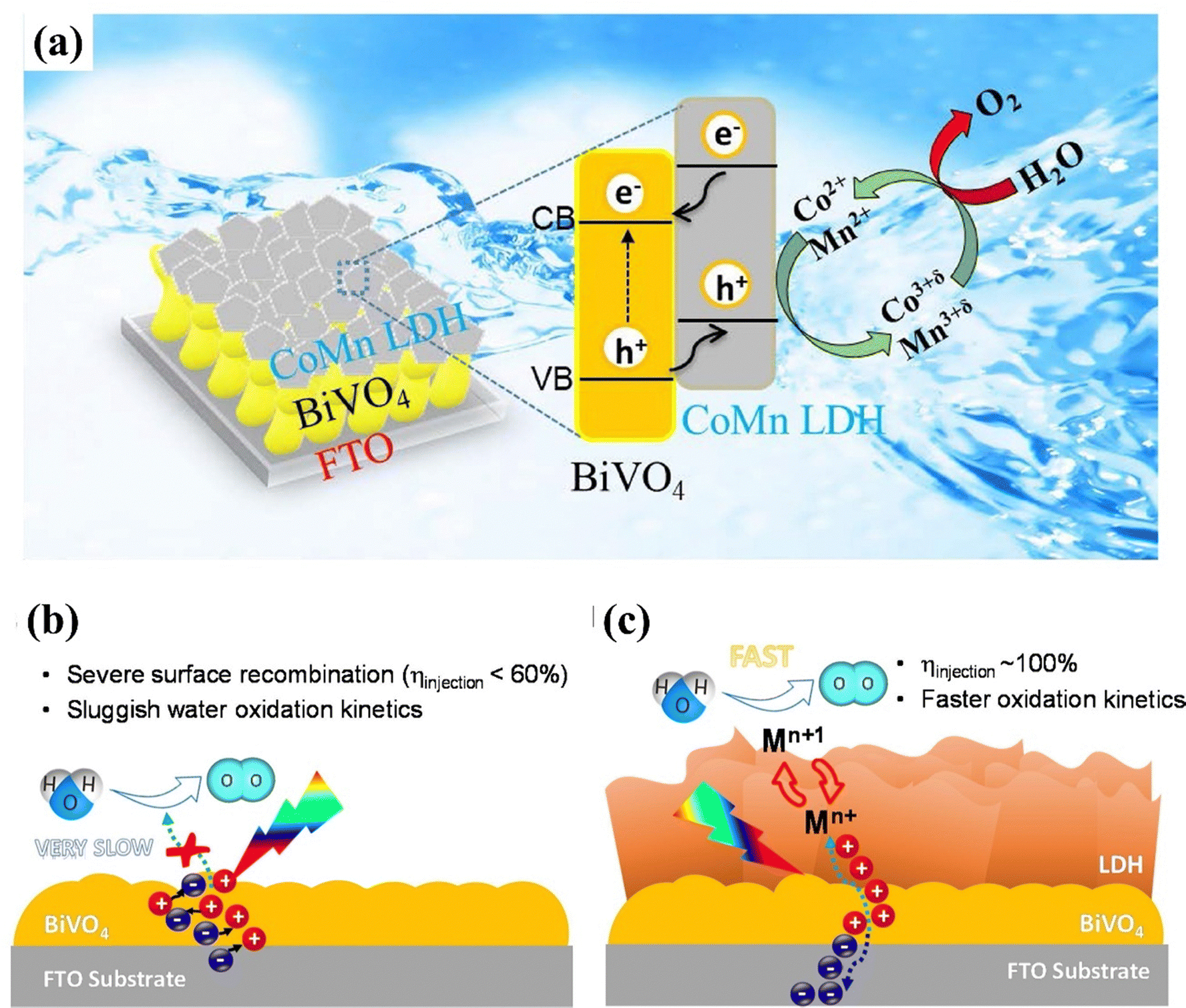 Layered double hydroxide modified bismuth vanadate as an efficient