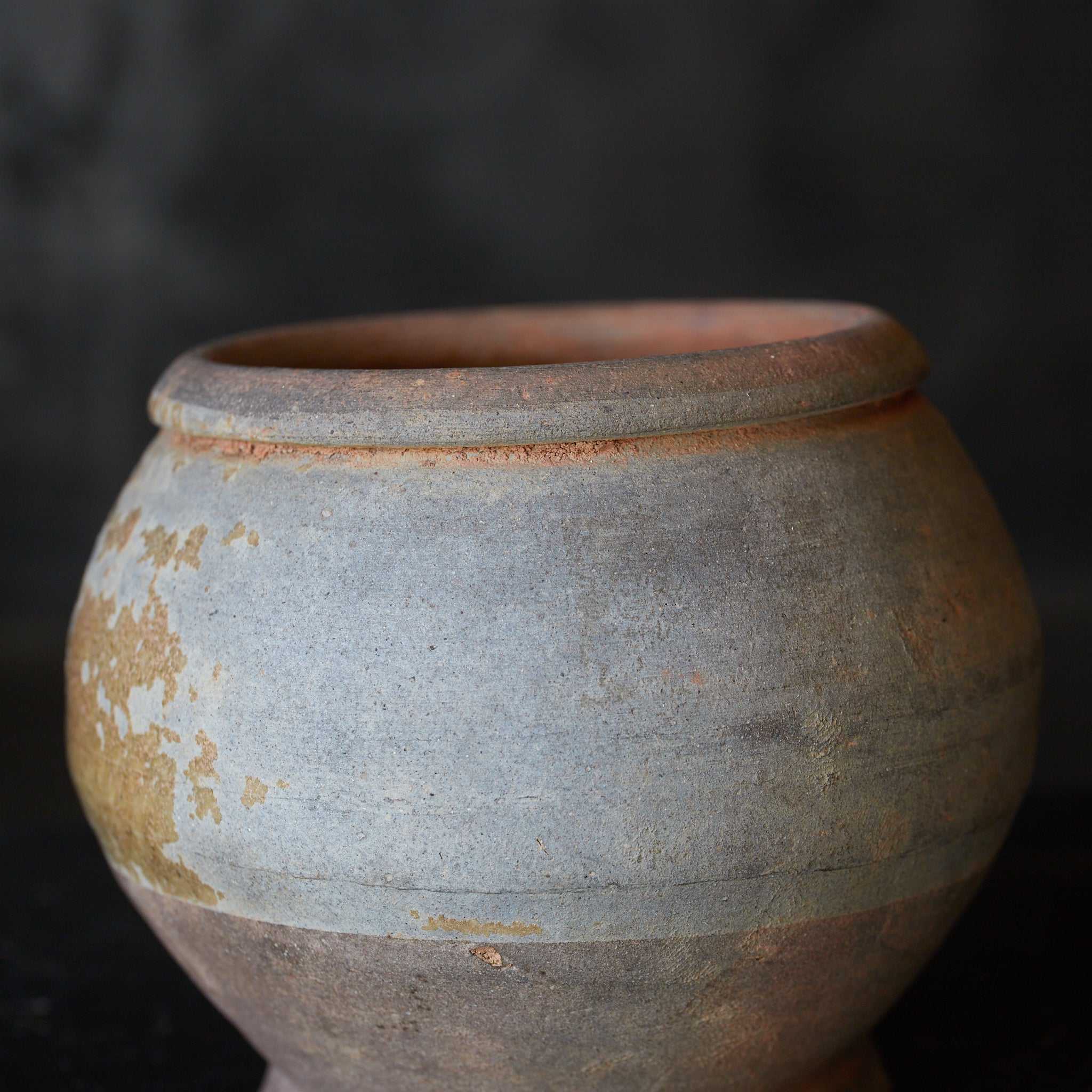 唐代 越州窯 黄釉壺（618–907 CE） | 入蘆花（ロカニイル）