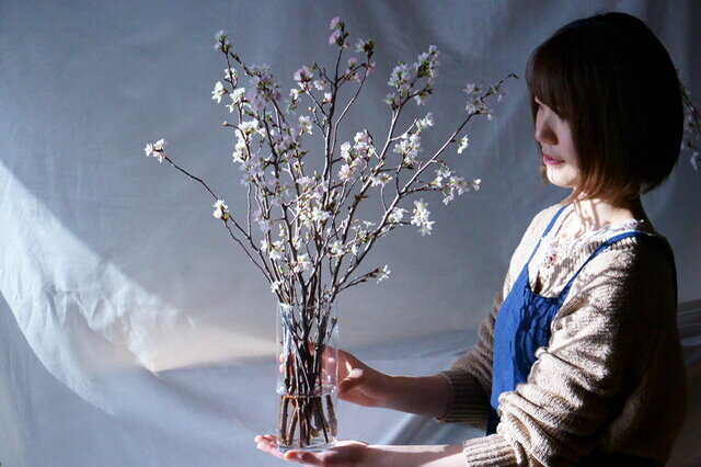 石木花｜啓翁桜｜M - 石木花(セキボッカ) | キナリノモール