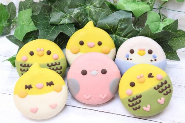 インコドーナツセット 6個入り（イクミママのどうぶつドーナツ