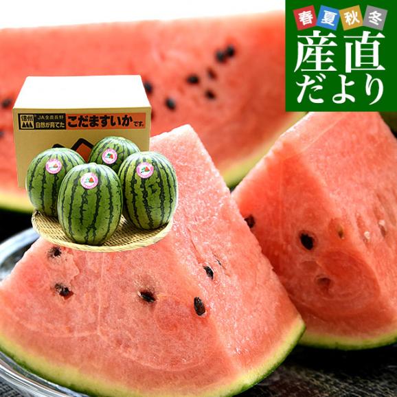 長野県産 JA松本ハイランド ピノガール (小玉スイカ) A品 3Lから4L