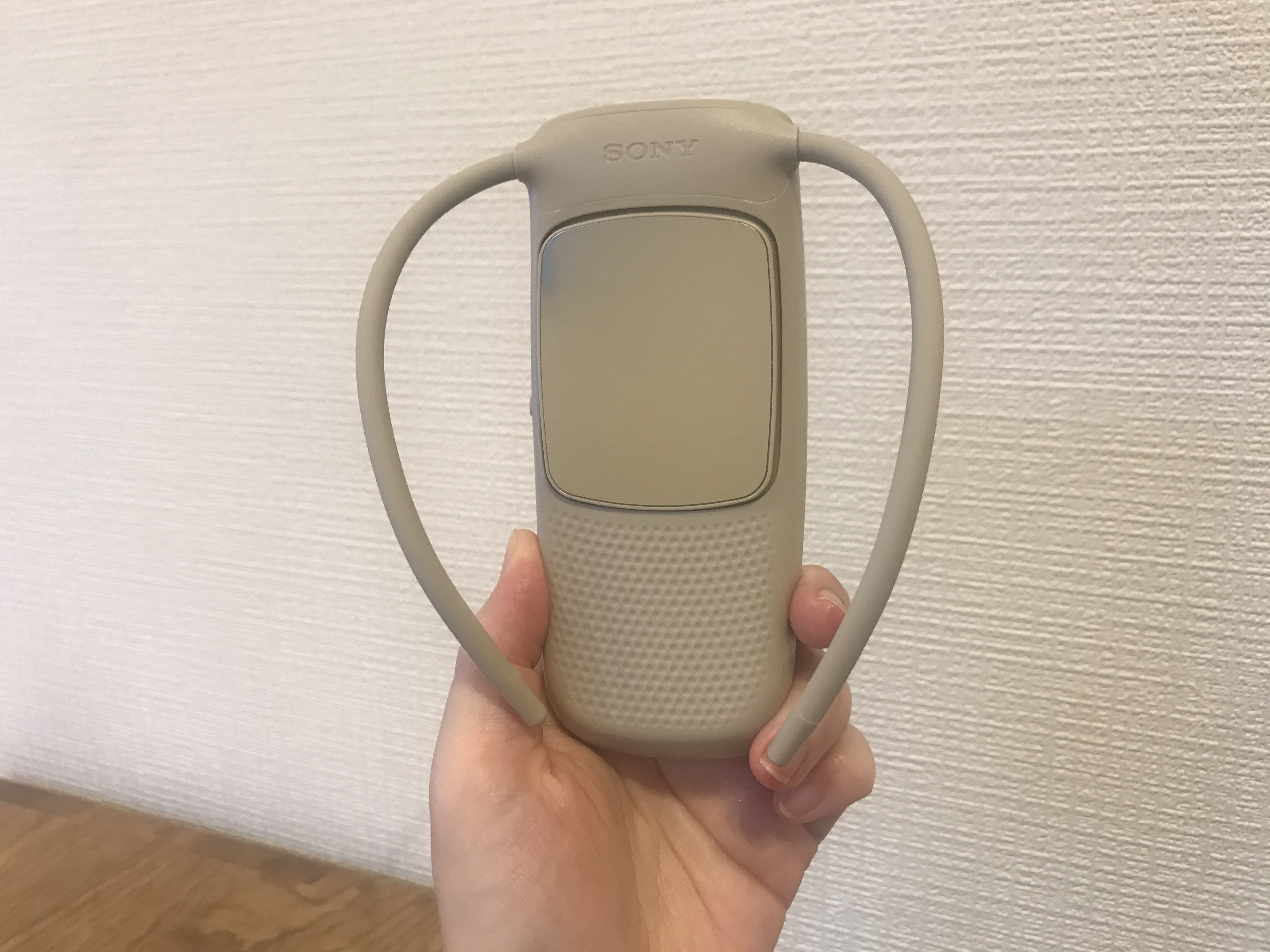 正直レビュー】話題の首にかけるクーラー！ ソニーの「REON POCKET
