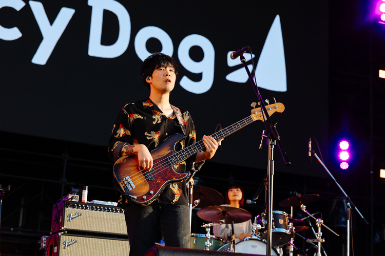 Saucy Dog - JAPAN JAM 2025 ライブ写真＆セットリスト｜音楽情報