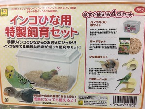 ヒナを育てたい✨必見✨｜有限会社 ペットクラブ オーシャン｜沖縄県