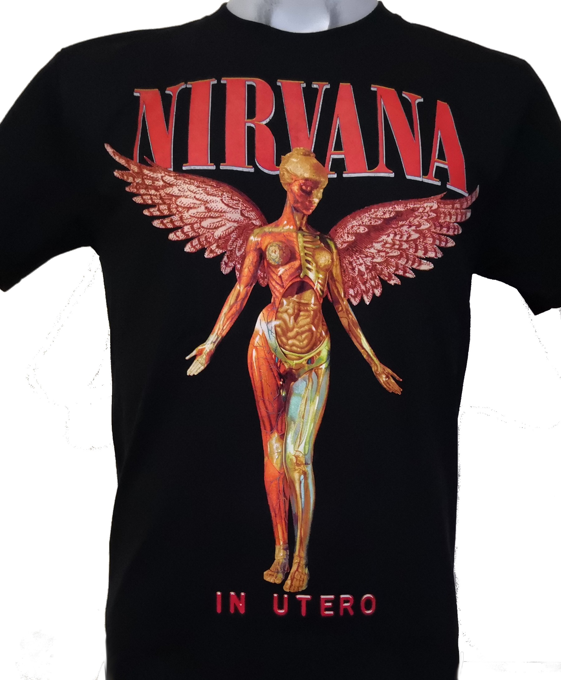 nirvana015.jpg