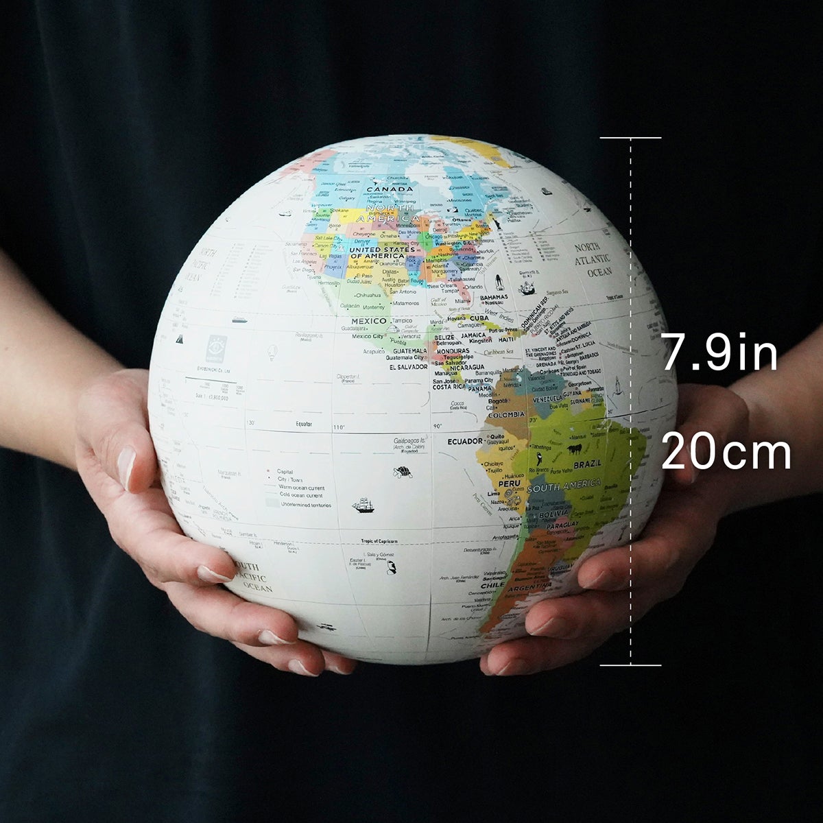 Hobonichi Globe 20センチメートルモデル - Hobonichi Globe - ほぼ日