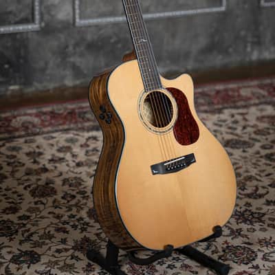 IBANEZ Paul Gilbert Acoustic PGA 1000 | Reverb