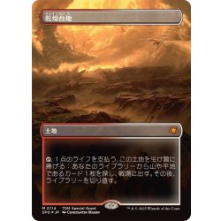乾燥台地 ドラゴンスケイルfoil ドラゴンスケイル・Foil】(114