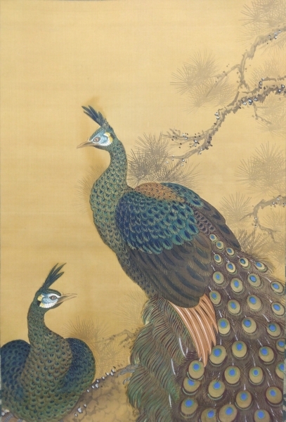 岡本秋輝【孔雀】肉筆 絹本 掛軸（幕末期 4大家）Syuki Okamoto Edo
