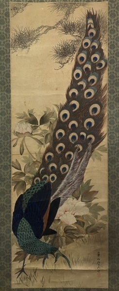 渡辺崋山 花鳥図 孔雀 肉筆 紙本 識箱（Kazan Watanabe Edo）|サムライ