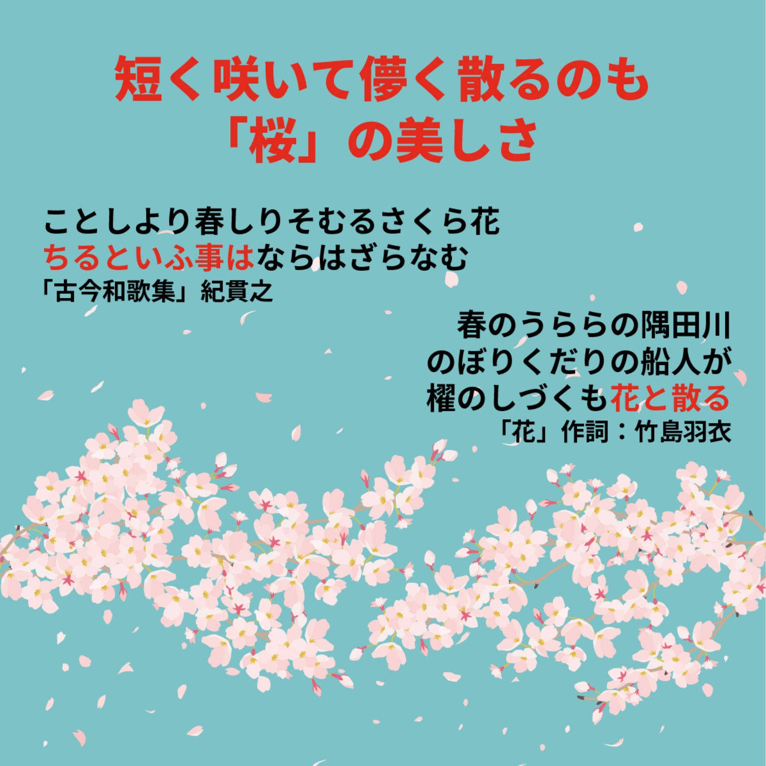桜」は「咲く」ものの代表選手！？ 潔く散るさまも人の心をつかむ日本