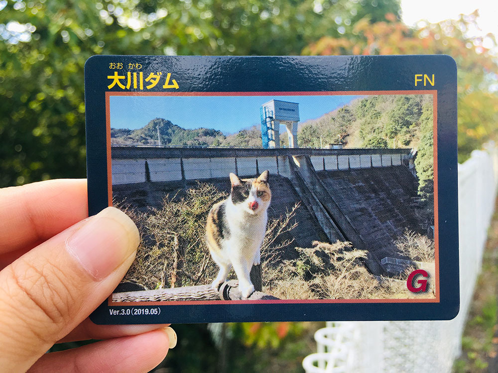 ダム猫”ミケ”の第2弾ダムカード完成！＠大川: さぬき市再発見ラジオ