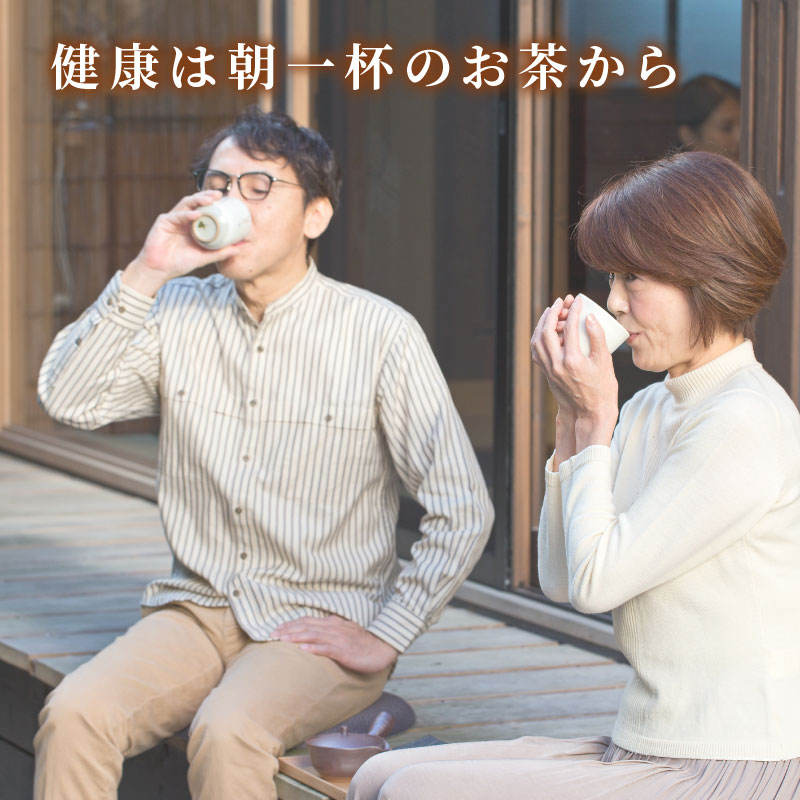 お徳用］掛川茶＆川根茶6袋（各100g×3袋） 飲み比べセット | 大五
