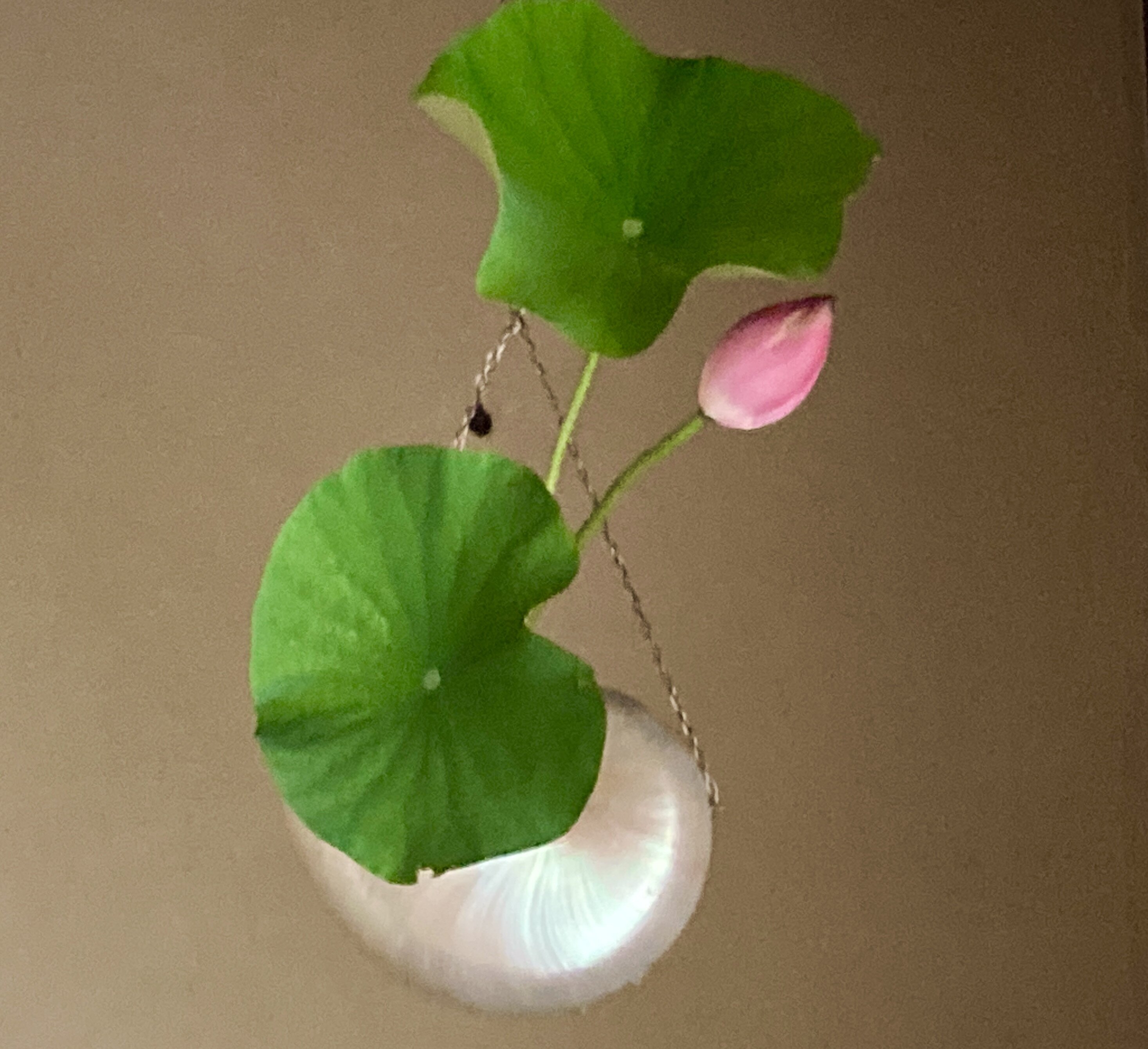 一器・一花・一菓 脇床高く浮かぶ蓮の花 喚鐘釘に吊って夕月の風情