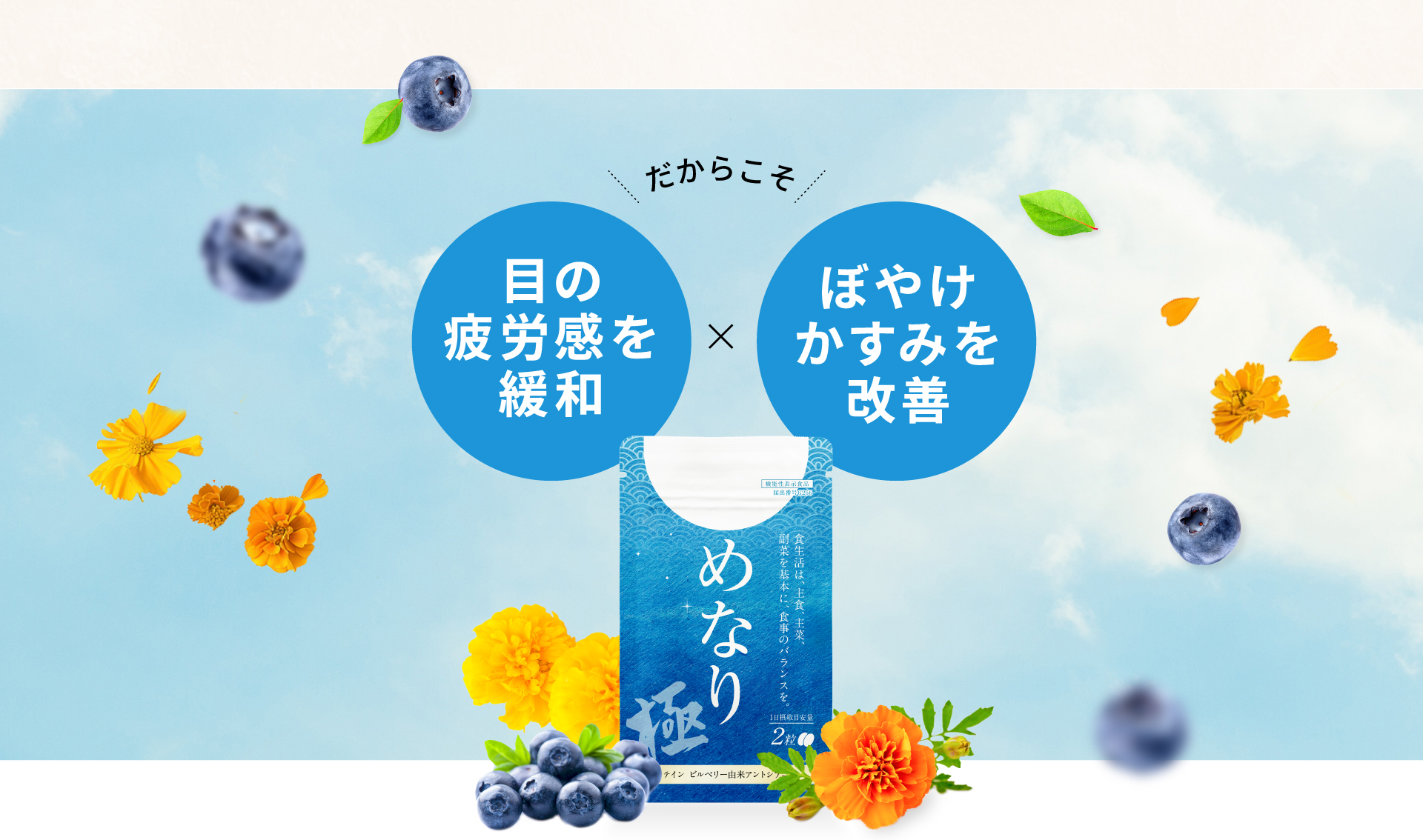 公式【めなり極】目の疲労感とぼやけ・かすみをWで改善する機能性表示