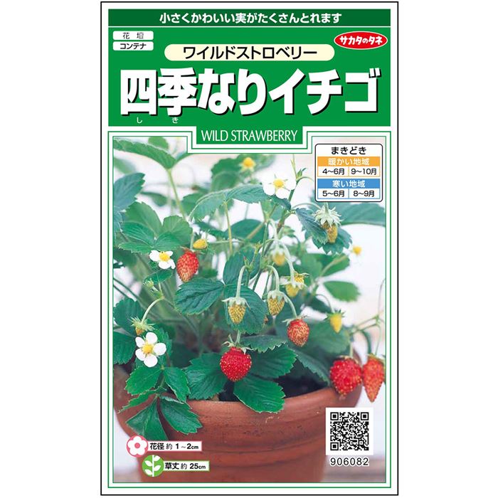 四季成りイチゴ ワイルドストロベリー｜種（タネ）,球根,苗,資材