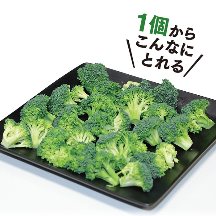 ブロッコリー グランドーム｜種（タネ）,球根,苗,資材,ガーデニング