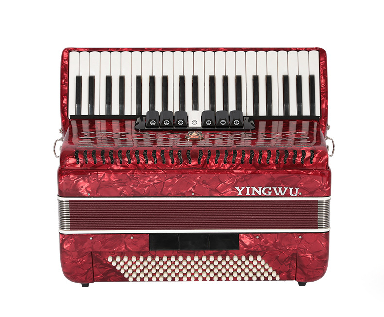 Piano Accordion - A True Parrot 41 Keys, 120 Bass Instrument