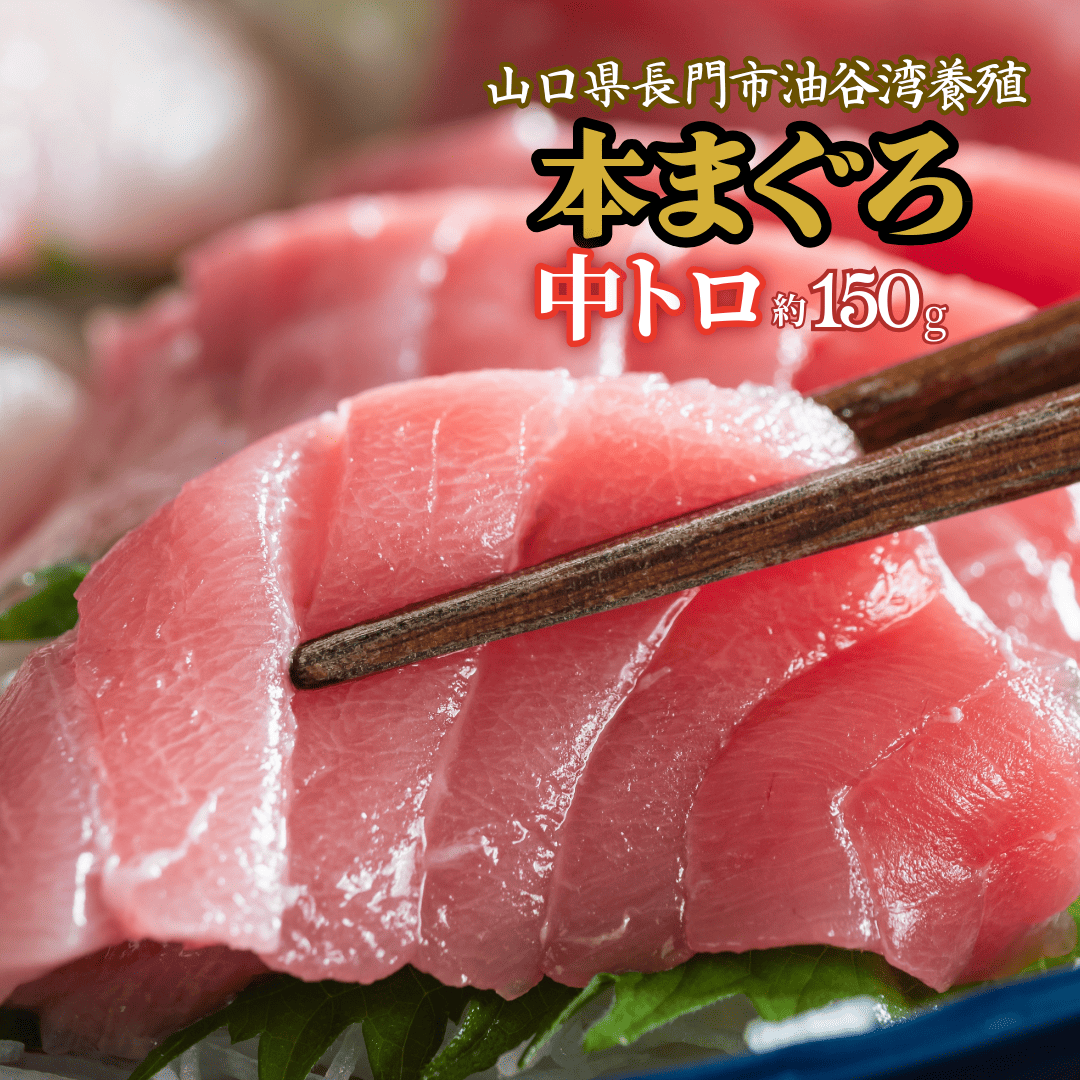 養殖本まぐろ 中トロ赤身約1000gセット(約10人前) 中トロ約500g・赤身