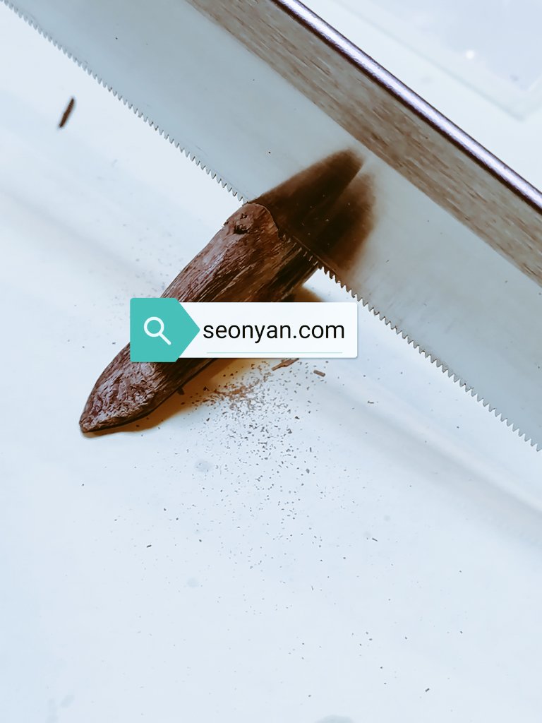 伽羅の全貌 沈香との違い茶の穂 香木と本気の茶