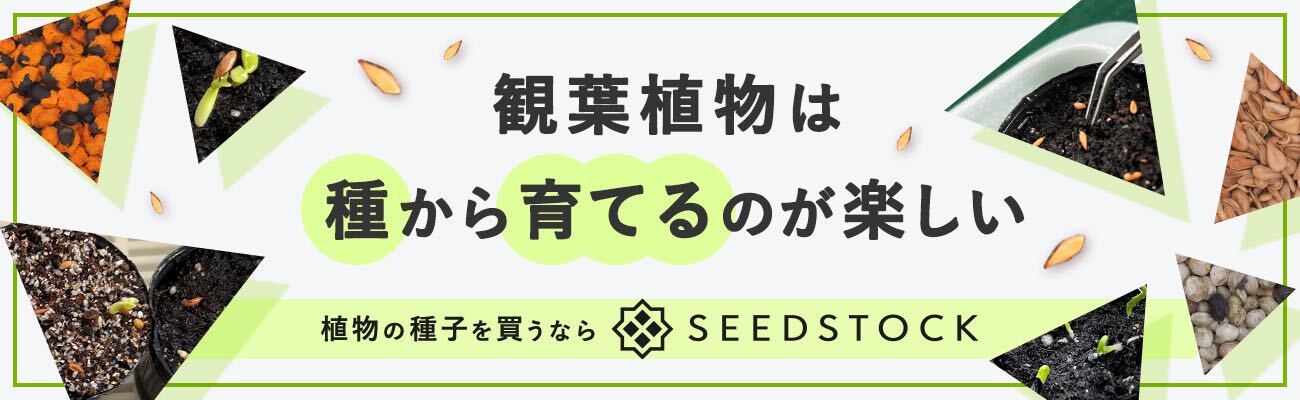 種子専門ショップ 多肉植物・塊根植物・観葉植物 - SEEDSTOCK